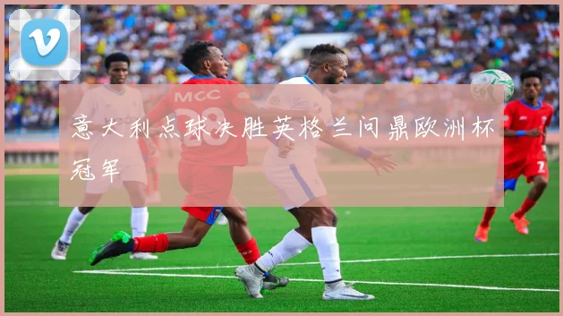 意大利点球决胜英格兰问鼎欧洲杯冠军