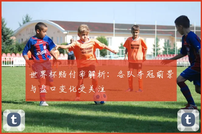 世界杯赔付率解析：各队夺冠前景与盘口变化受关注
